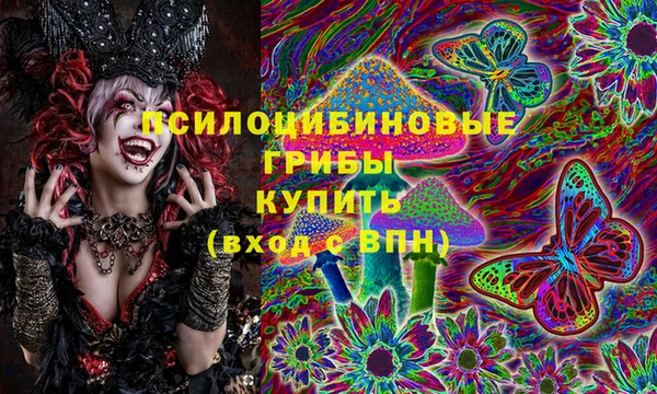 спайс Лабытнанги