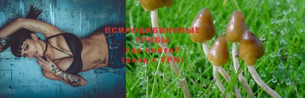 синтетический гашиш Ладушкин